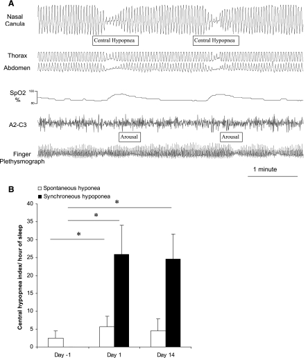 Fig. 6.