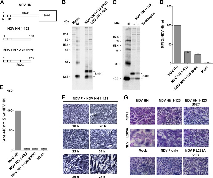 FIG 6