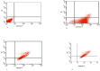 Fig. 4: