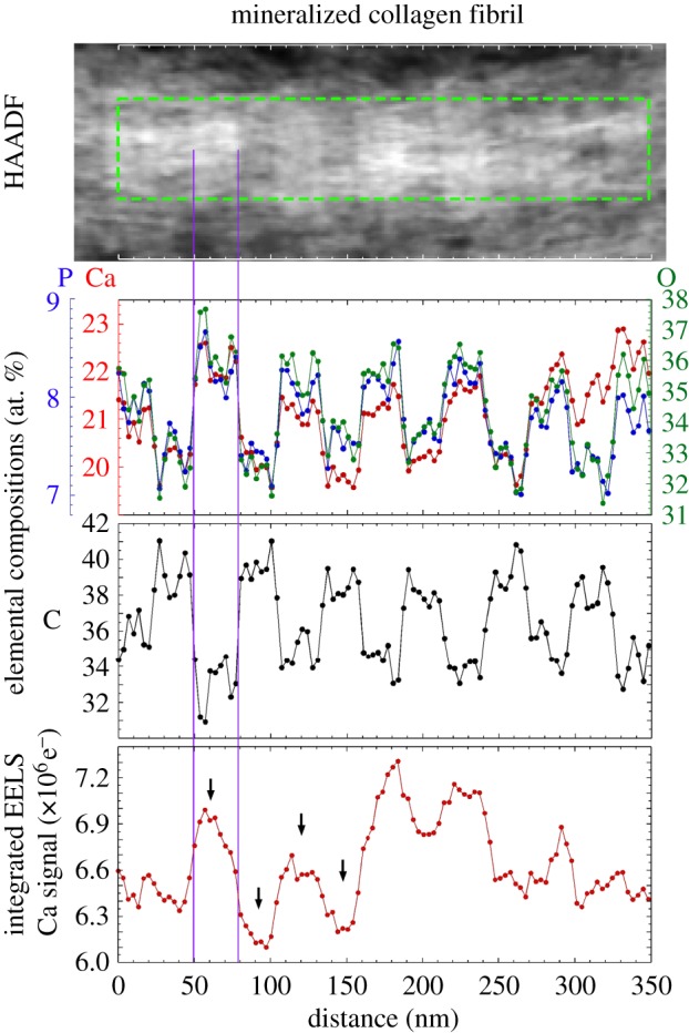 Figure 6.