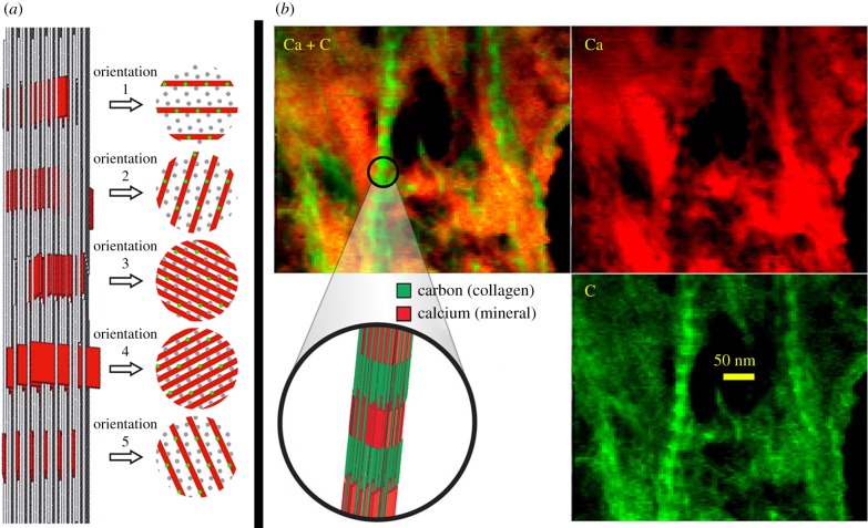 Figure 3.