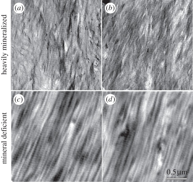 Figure 4.