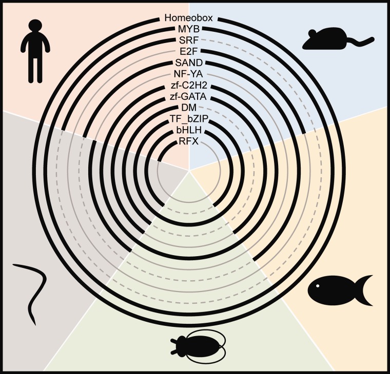 Fig. 3.—