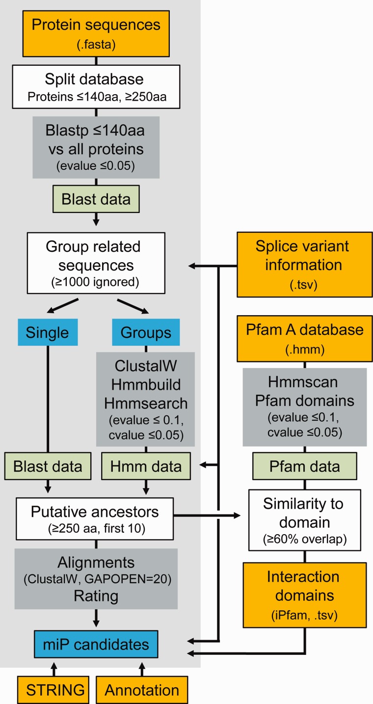 Fig. 1.—