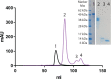 Figure 2—figure supplement 1.