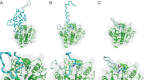 Figure 4—figure supplement 2.