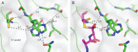 Figure 3—figure supplement 1.