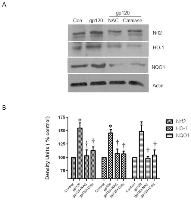 Fig.7