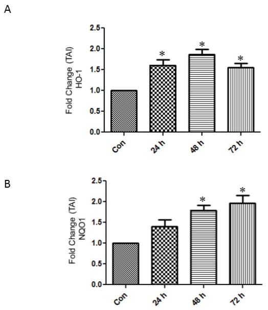 Fig.4