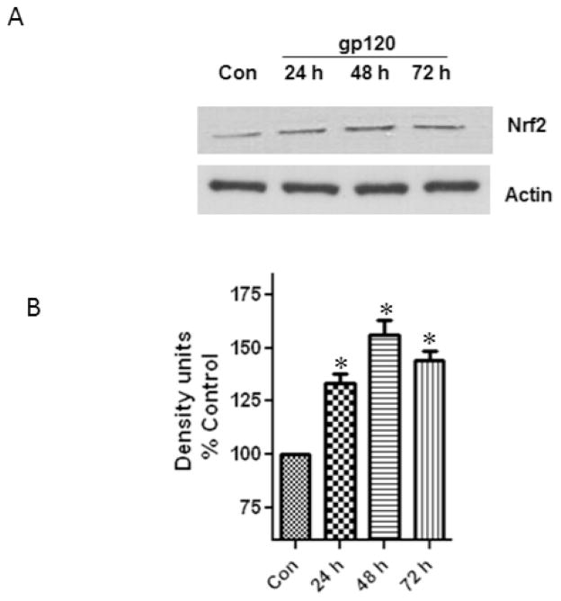 Fig.3