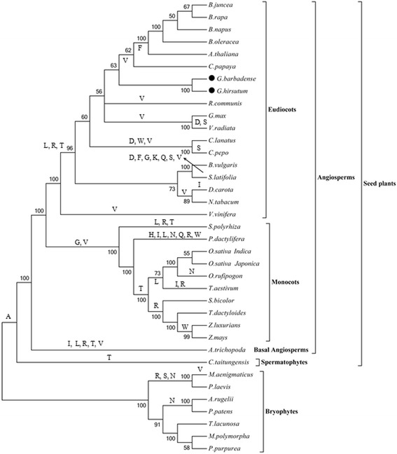 Fig. 8