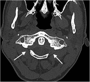 Fig. 8