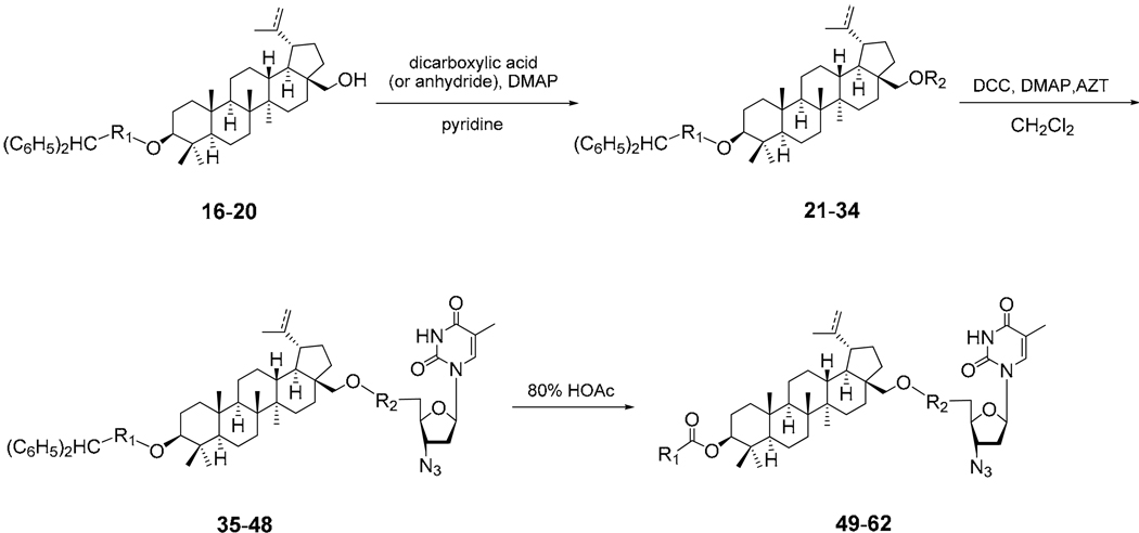 Scheme 2