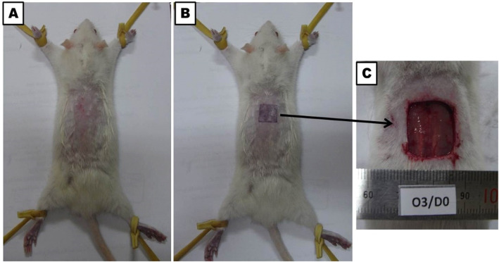 Fig. 6