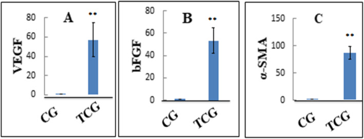 Fig. 5