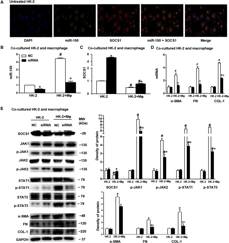 Figure 6