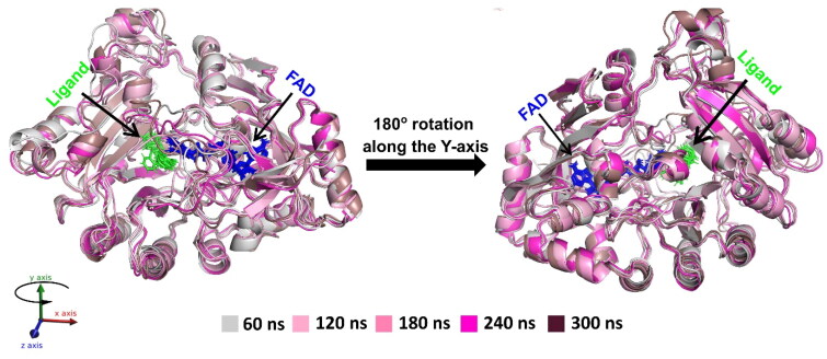 Figure 5.