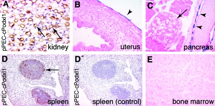 Figure 9.