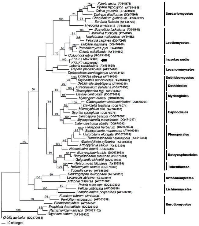 Fig. 3.