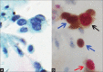 Figure 5: