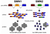 Figure 2A