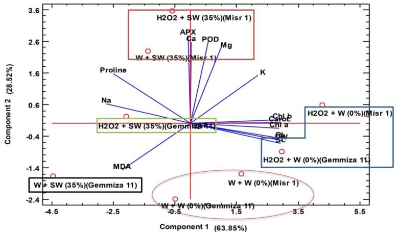 Figure 5