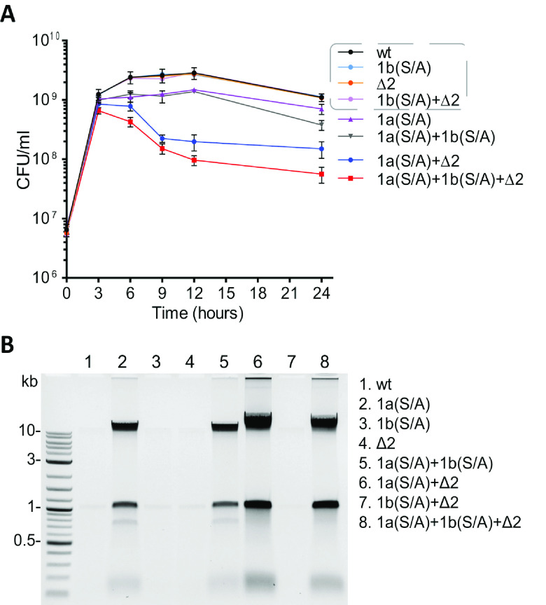 FIG 1