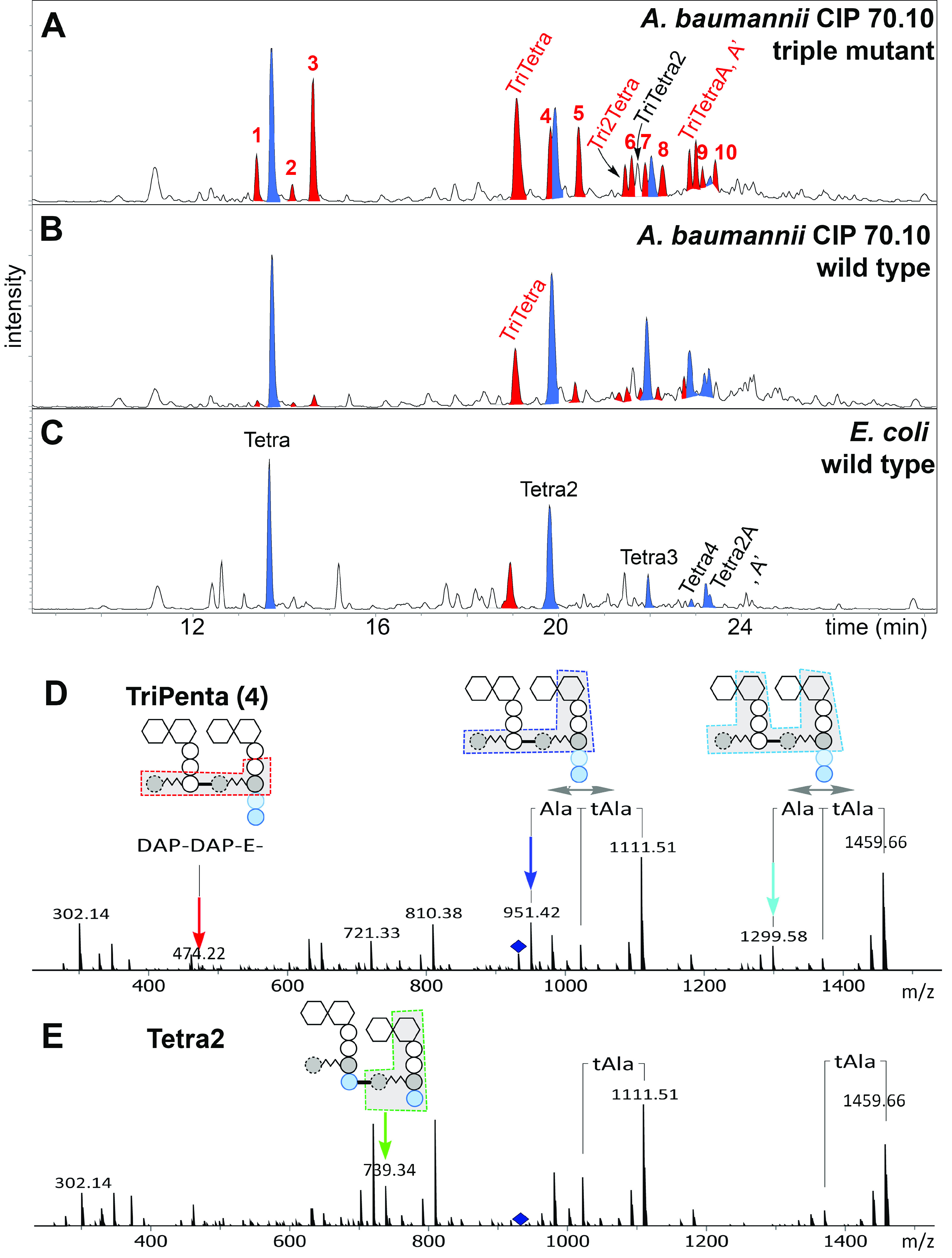 FIG 2