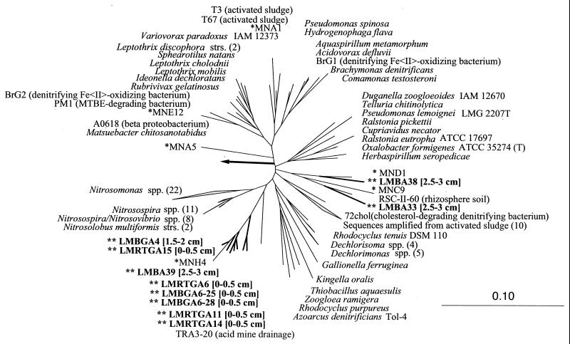 FIG. 9