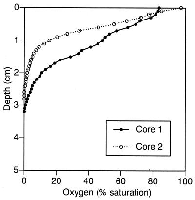 FIG. 8