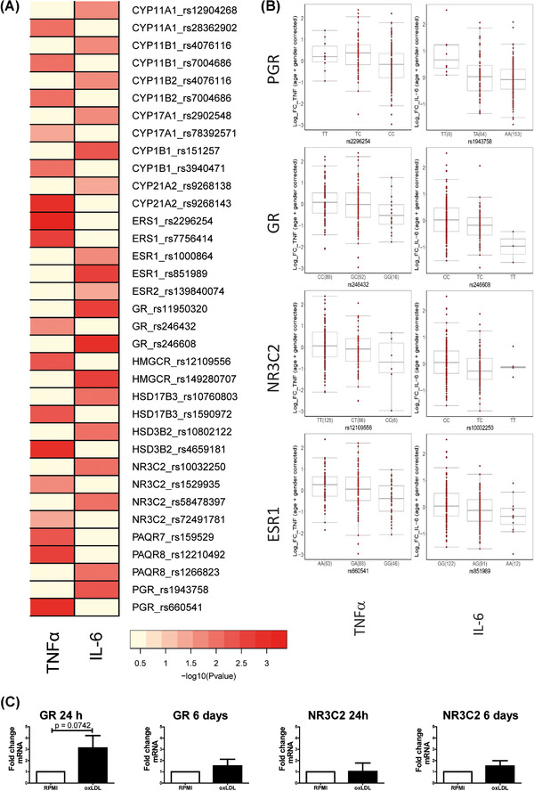 FIGURE 3