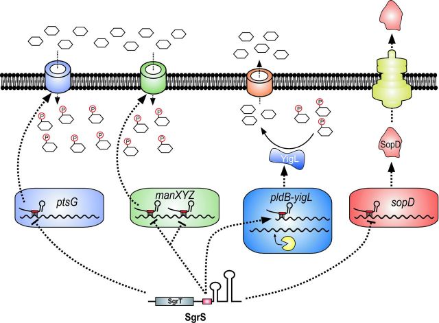 Figure 3.