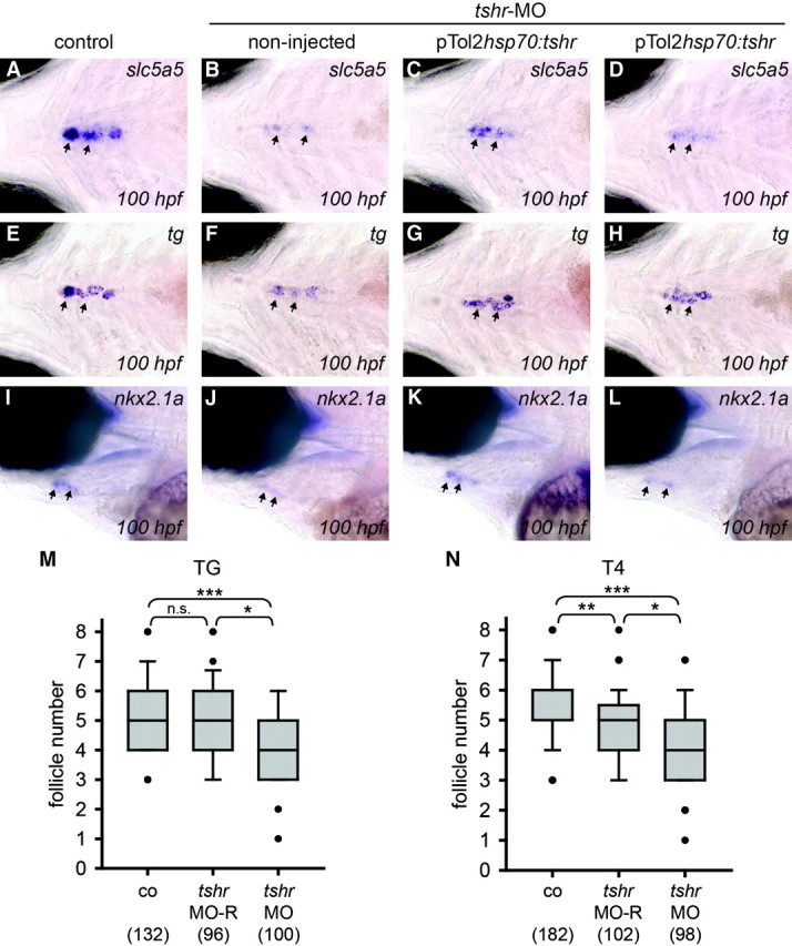 Fig. 10.