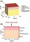Fig. 2:
