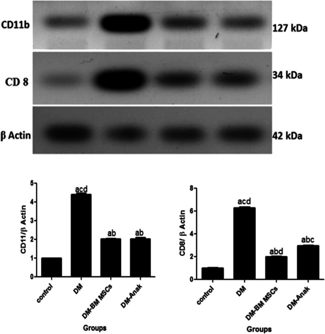 Fig. 11