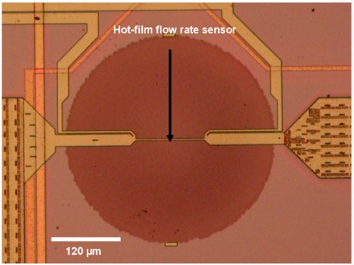 Figure 7