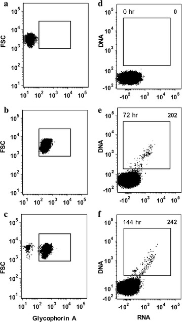 Fig. 3