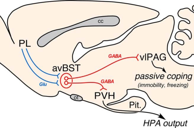 Figure 10.