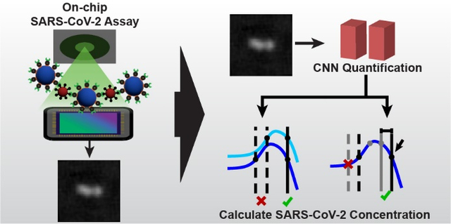 graphic file with name nihms-1834350-f0001.jpg