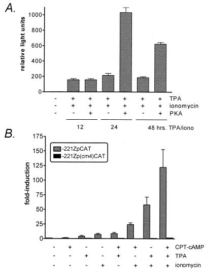 FIG. 6