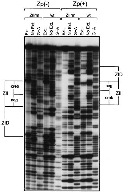 FIG. 12