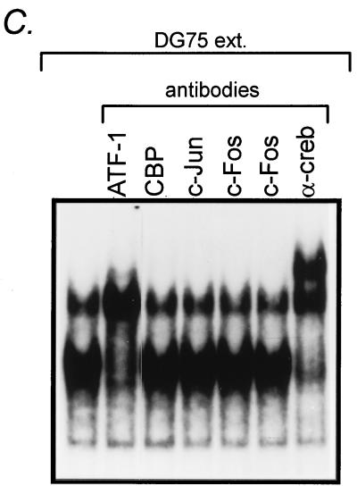 FIG. 5