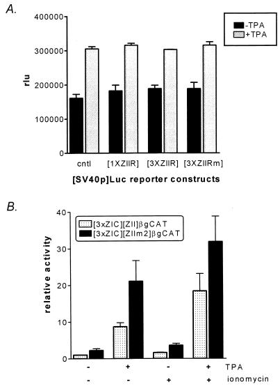 FIG. 9