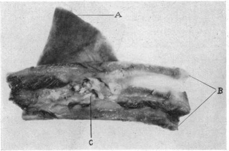 FIG. 39.