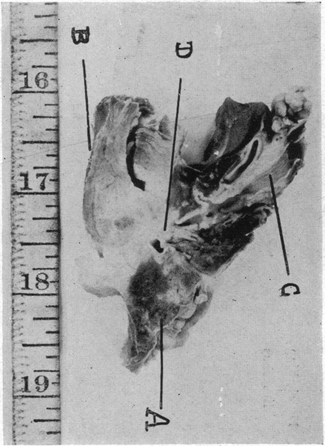 FIG. 28.