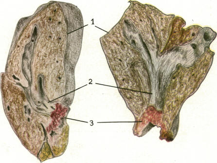 FIG. 41.