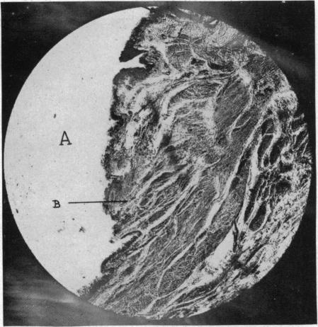 FIG. 37.