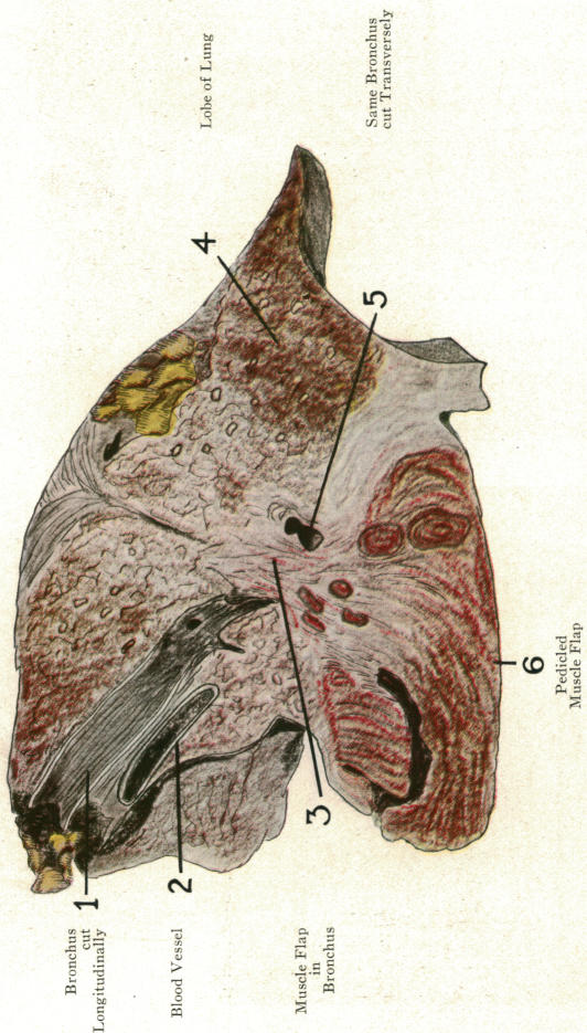 FIG. 29.