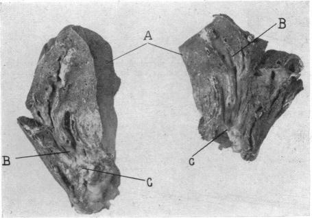 FIG. 40.