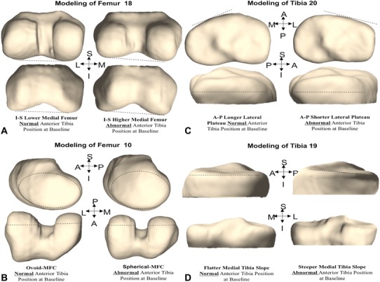 Fig. 2A–D